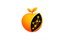 Veractum logo