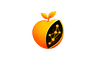 Veractum logo
